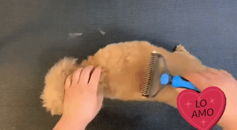 Tupromostore giphygifmaker giphyattribution GIF