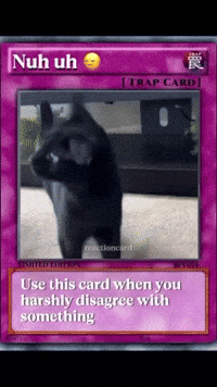 No Way Cat GIF