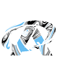 Premierathletics Pa Transprent Palife Sticker by Premier Athletics