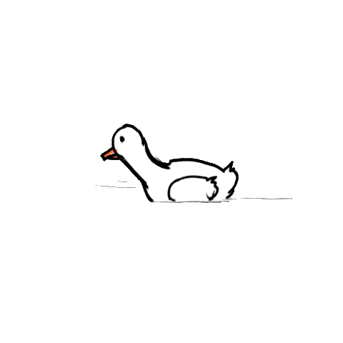 Bird Duck Sticker