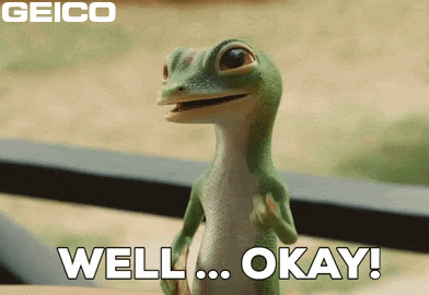 Sounds Good Ok Fine GIF by GEICO