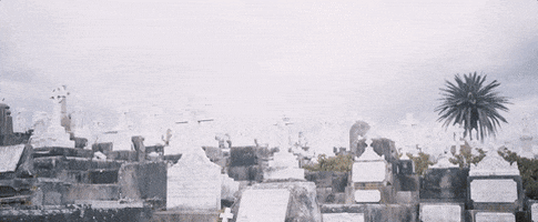 grave cemetery GIF by Noah Cyrus