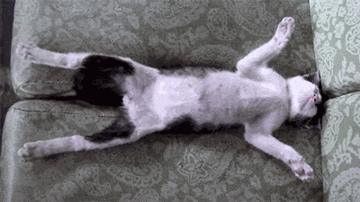 mood GIF