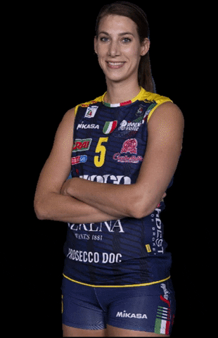 ImocoVolley giphygifmaker roar panthers imocovolley GIF