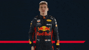 ver formula 1 GIF by Red Bull Racing