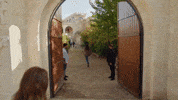 Kanald GIF by Ay Yapım