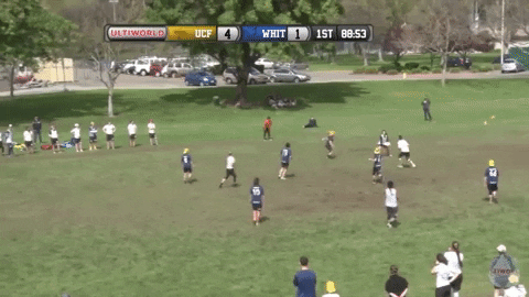 flikulti ultimate frisbee flik GIF
