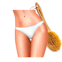 Body Brush Sticker by MrSCRUBBER