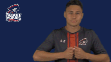 rmuathletics rmu robert morris robert morris university GIF