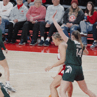 Lets Go Basketball GIF by Huskers