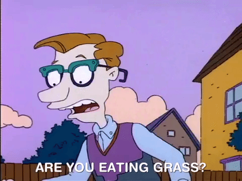 nicksplat rugrats GIF