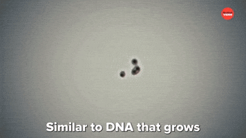 Scientific Proof That Santa Exists