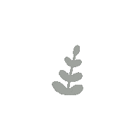 beckyddesigns aesthetic simple leaf leaves Sticker