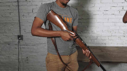 AvantYouth giphyupload firearm 2a 2nd amendment GIF