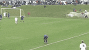 GIF by Giffffr