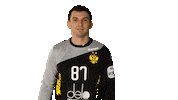 National Team Sport Sticker by Rushandball