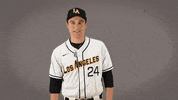 Baseball Calstatela GIF by Cal State LA Golden Eagles
