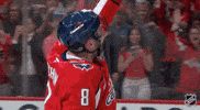 Washington Capitals Smile GIF by NHL