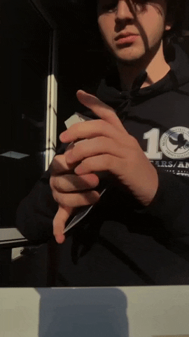 steallikeacardist  GIF