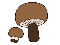 Fall Sticker