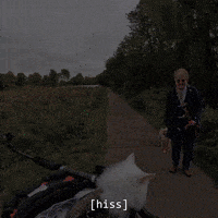 Hiss GIF