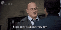 Learn Law And Order GIF by Wolf Entertainment