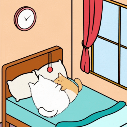 Sick Cat GIF by MESA My Emotional Support Animal