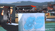 Celebrate World Champion GIF by MotoGP™
