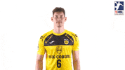 Sport Handball GIF by LIQUI MOLY HBL
