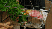 Kitchen Mal GIF by MasterChefAU