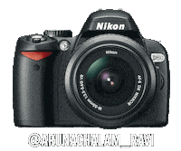 Nikoninstabadge D60 Sticker by NikonIndia