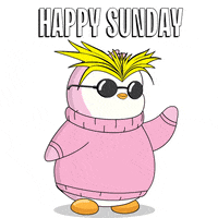 GIF by Pudgy Penguins