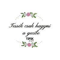 TipikbyDetti handmade magyar vicces hungary Sticker