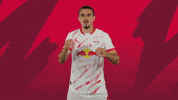 Sport Celebration GIF by RB Leipzig