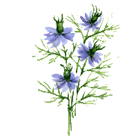 Flower Sticker by compo