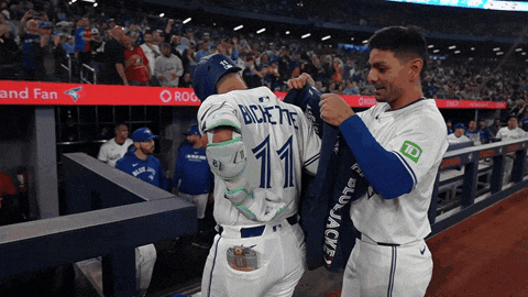 Blue Jays Baseball GIF by Toronto Blue Jays