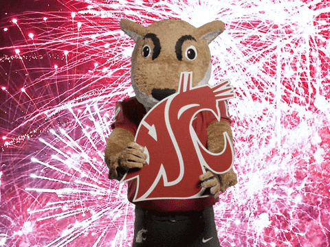Washington State Go Cougs GIF by WSU Pullman