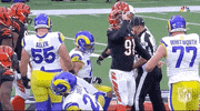 Super Bowl Football GIF by NFL