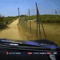 2025 GIF by FIA World Rally Championship