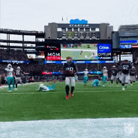 Lets Go Win GIF by NFL
