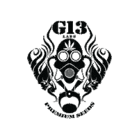 Asb G13 Sticker by AttitudeInc