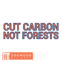 Climate Change Tree Sticker by Dogwood Alliance