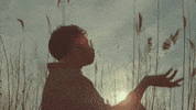 Scortons Creek GIF by Isaac Dunbar