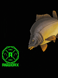rigworxcarptackle fishing carp angling carpy GIF