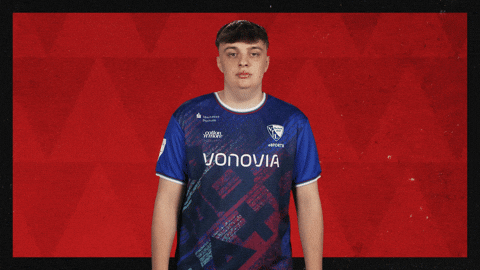 Vfl Bochum Football GIF by Bundesliga