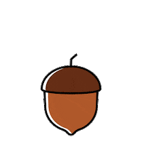 Bellota Sticker by ReforestamosMX