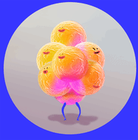 GIF by MONK