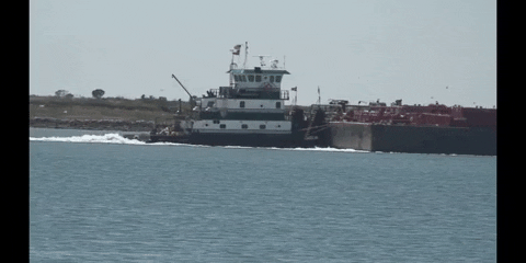 Education Motion GIF by DIIMSA Stock