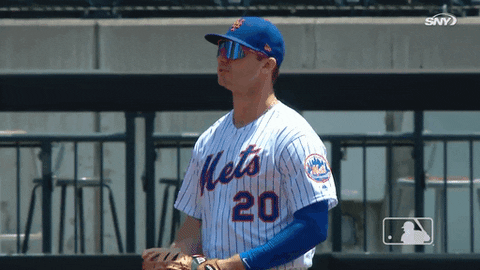 ny mets yes GIF by New York Mets