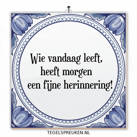 Moment Nl GIF by Tegelspreuken.nl
